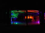 Disco60 LF22